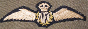 AFC Wings