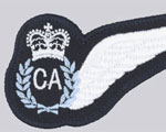 Crew Attendant