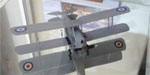 Tiger Moth