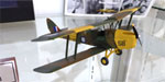 Tiger Moth