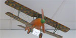 Pfalz