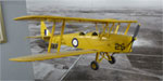 Tiger Moth